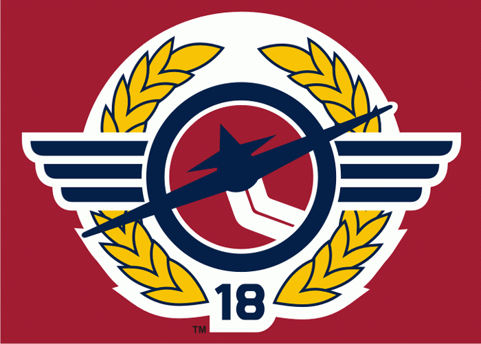 Windsor Spitfires 2007-pres alternate logo iron on heat transfer